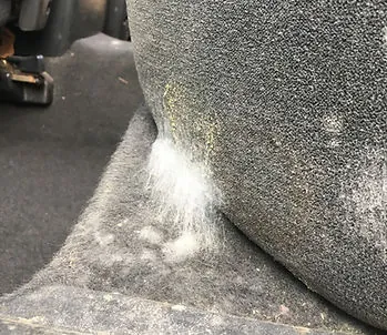 Odor removal
