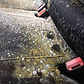 Mold/Mildew Remediation