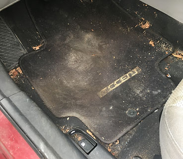 Dirty carpet