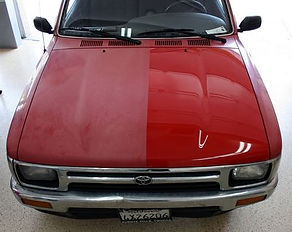 Automotive Paint Correction: Expert Solutions for Tree Sap, Bird Droppings, Tar & Artillery Fungus
